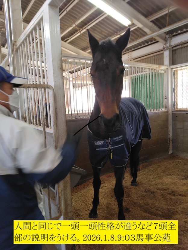 624x832 (192,404�o�C�g)