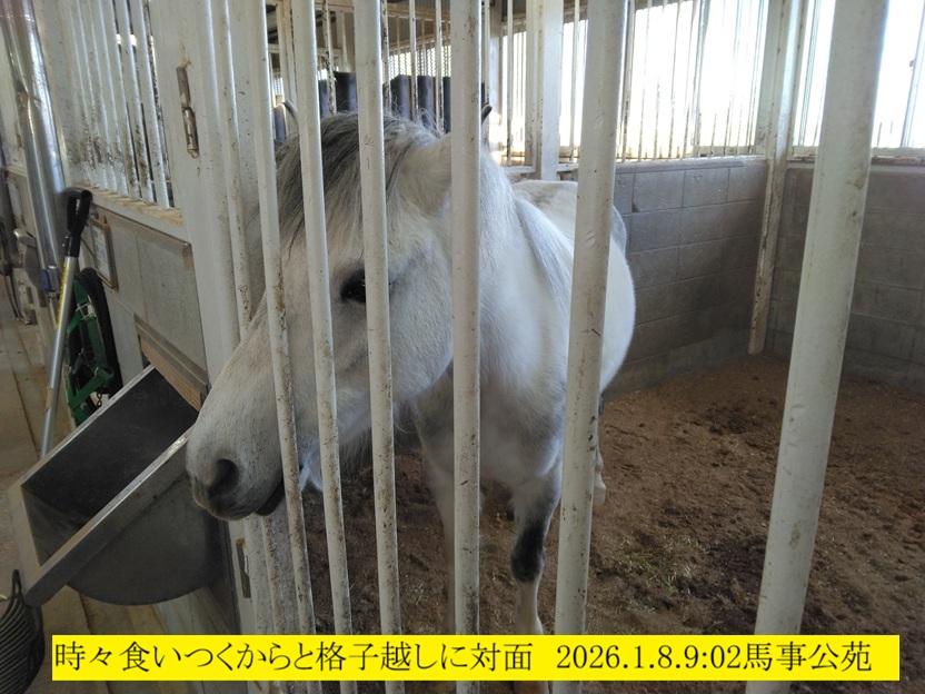 832x624 (198,243�o�C�g)