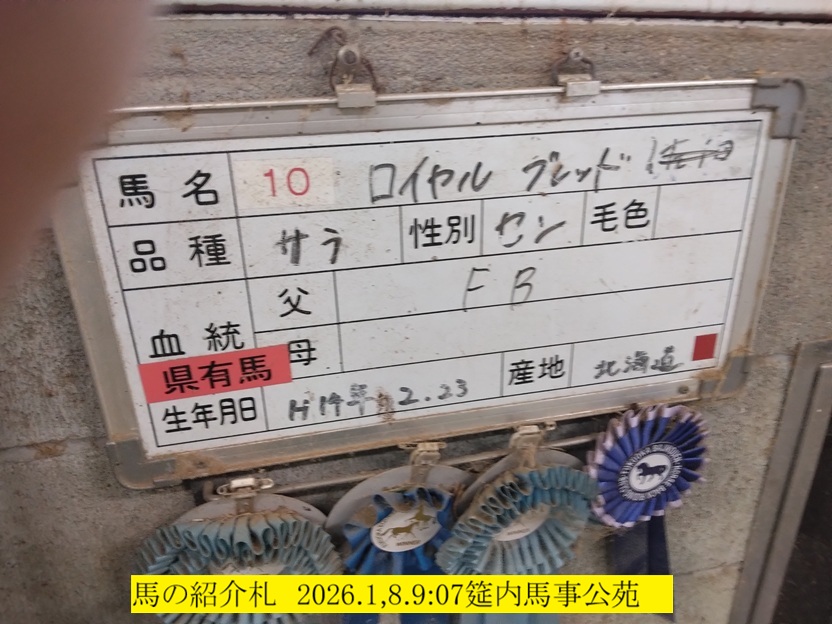 832x624 (182,729�o�C�g)