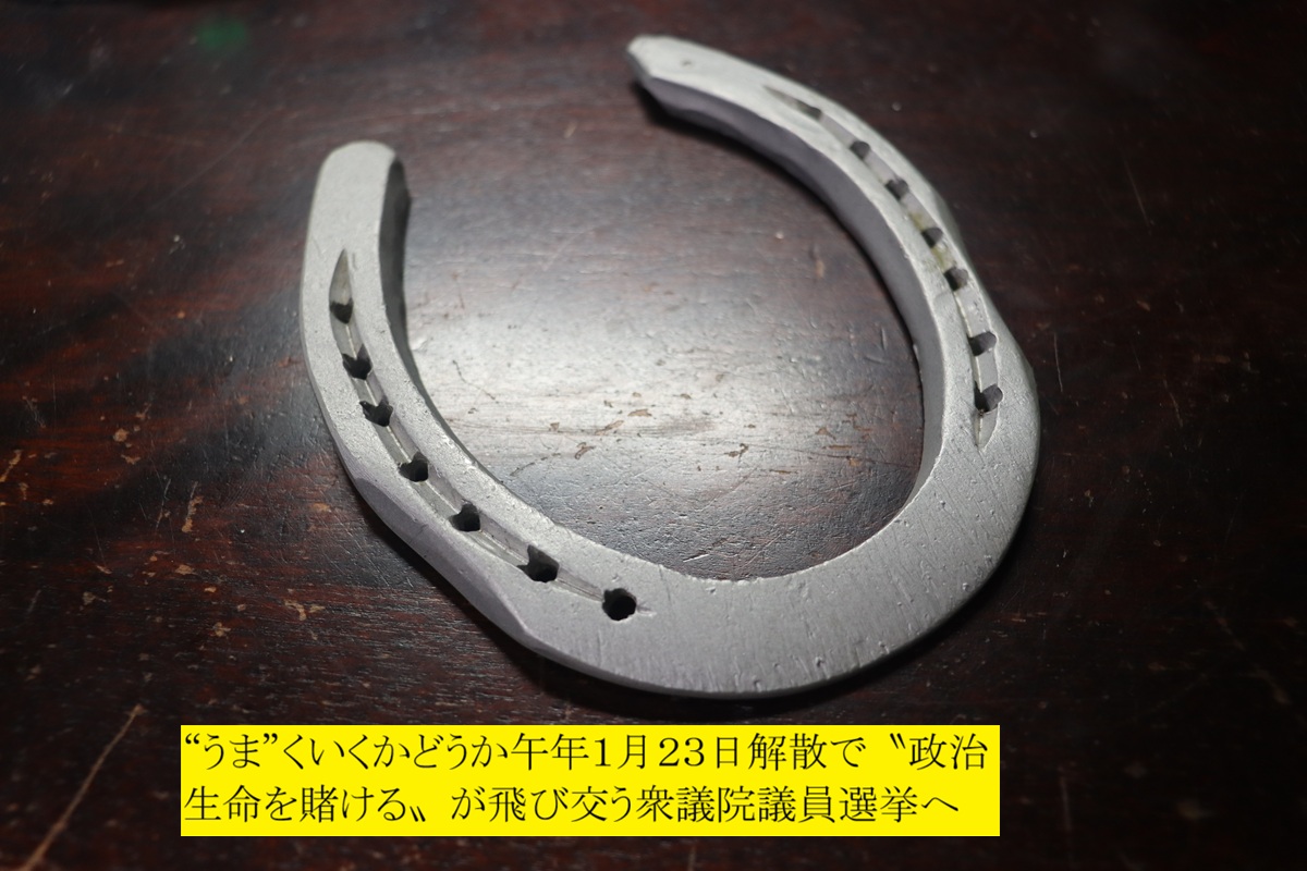 1200x800 (266,623�o�C�g)