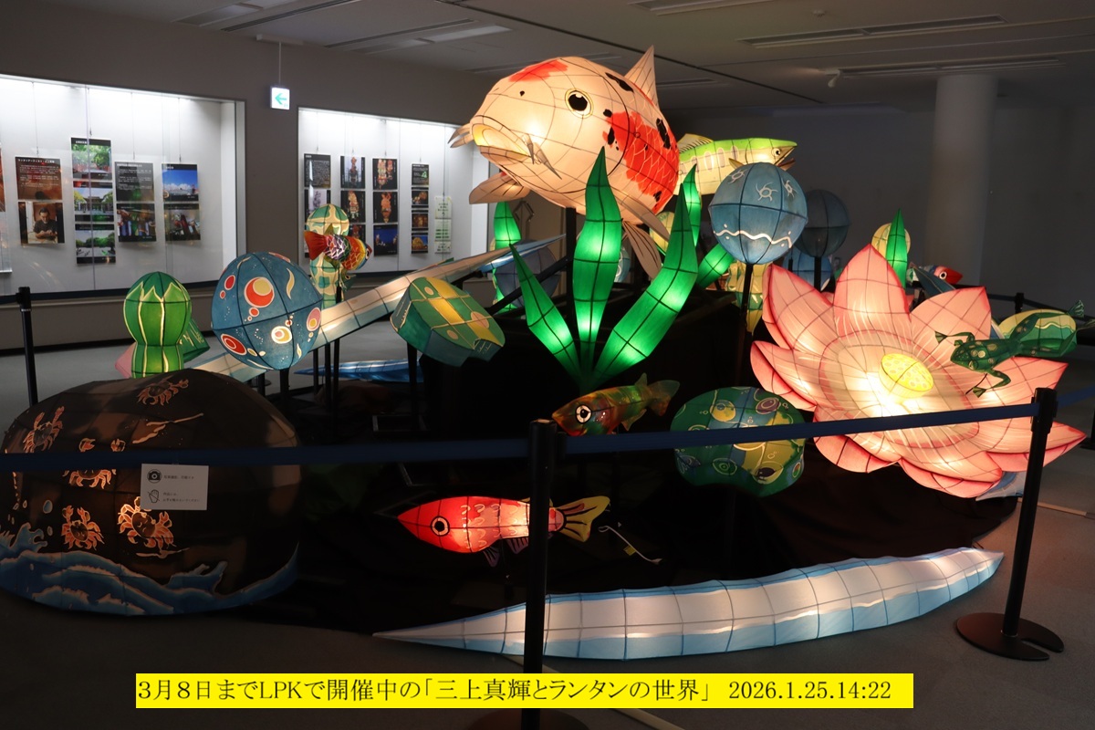 1200x800 (299,856�o�C�g)