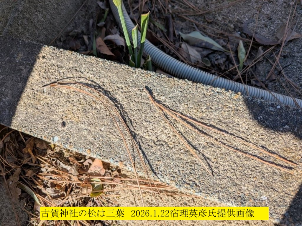 1024x768 (394,160�o�C�g)