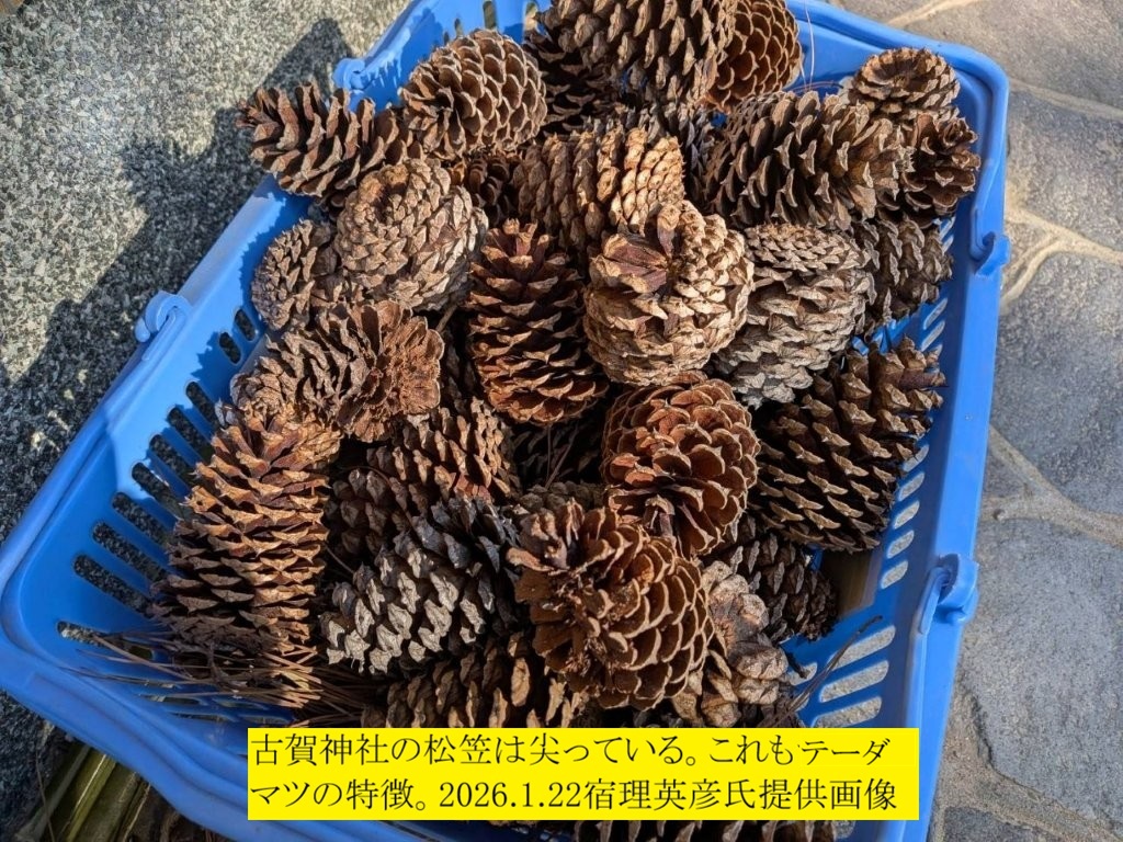 1024x768 (388,070�o�C�g)