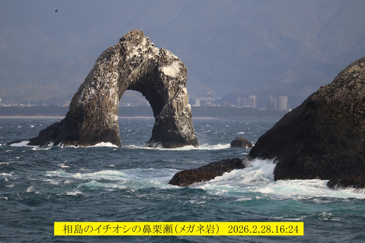 1200x800 (345,334�o�C�g)