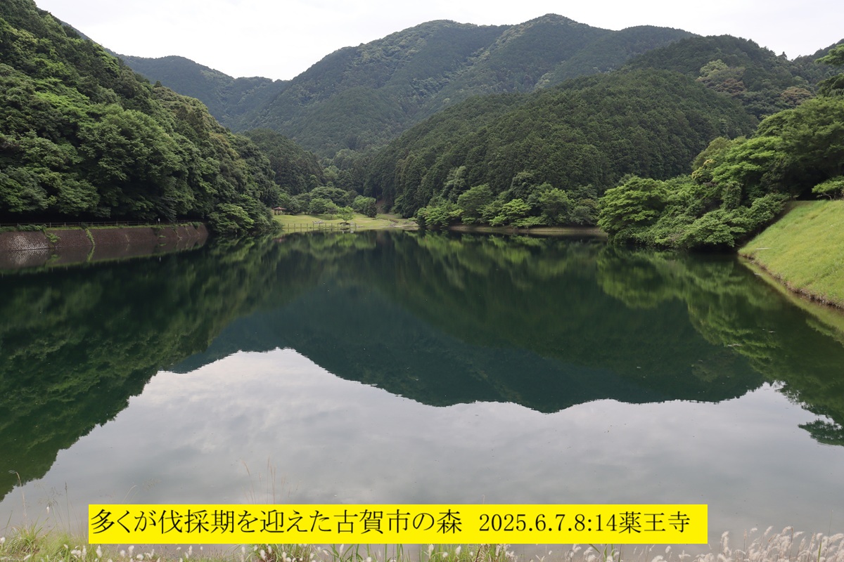 1200x800 (329,995�o�C�g)