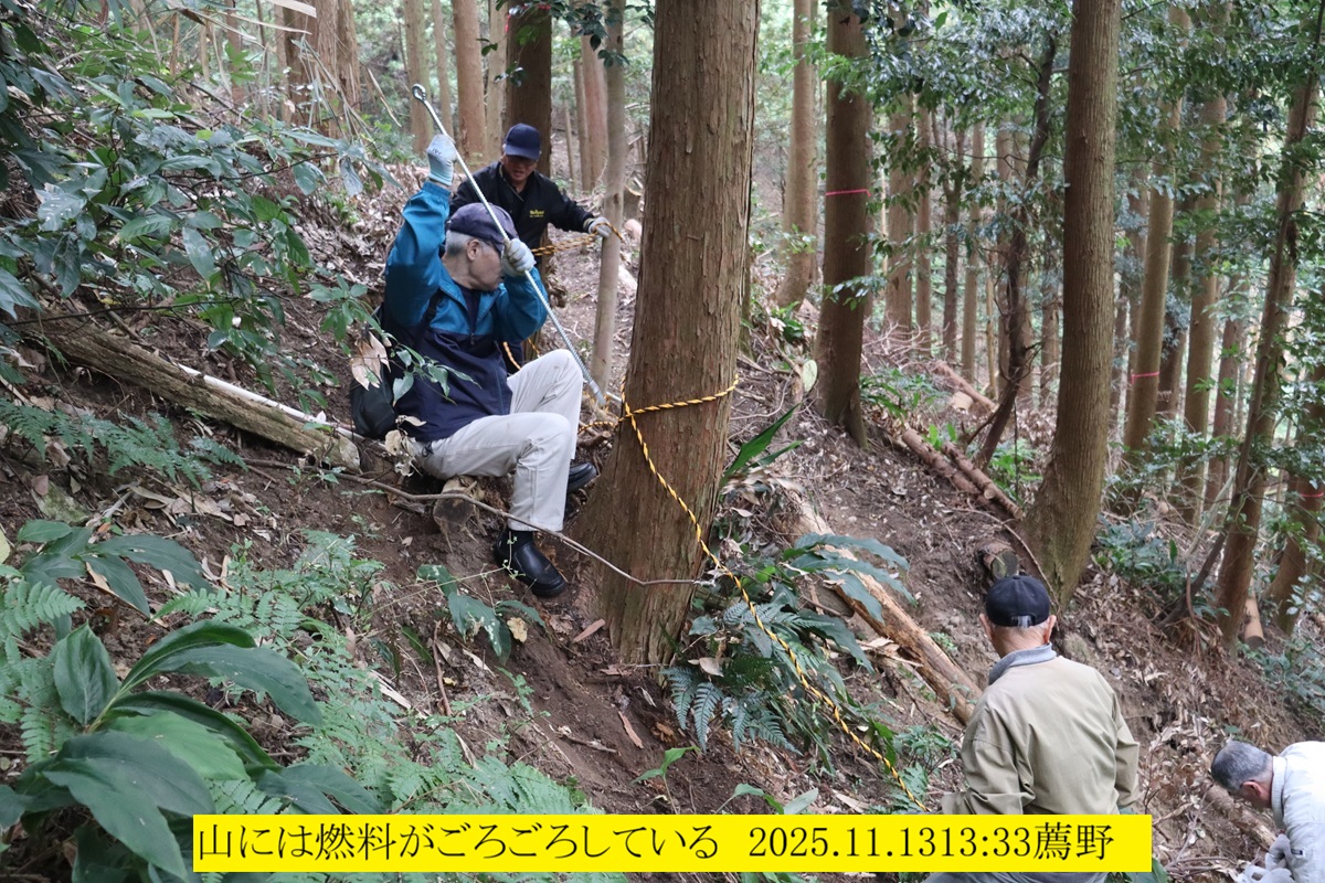 1200x800 (564,434�o�C�g)