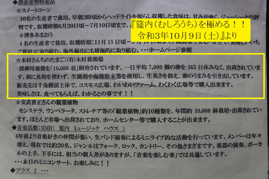 900x600 (251,078�o�C�g)