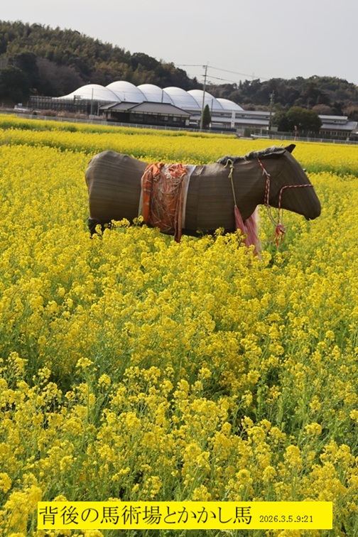 504x756 (232,566�o�C�g)