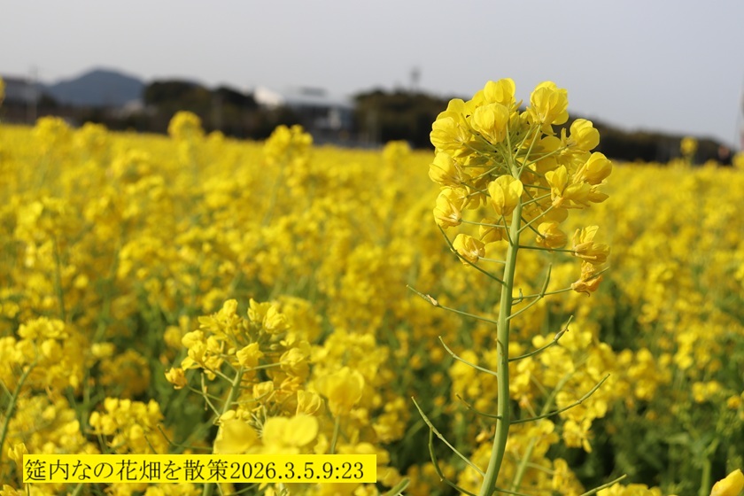 840x560 (166,868�o�C�g)