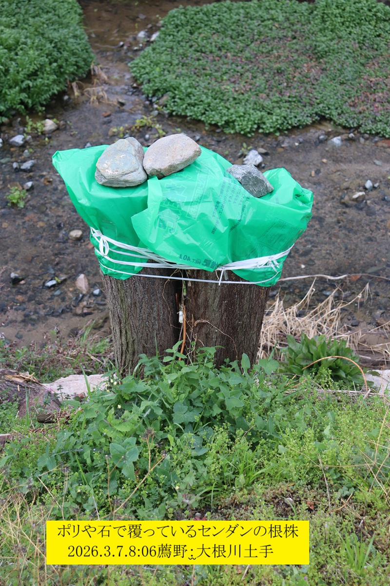 800x1200 (508,376�o�C�g)