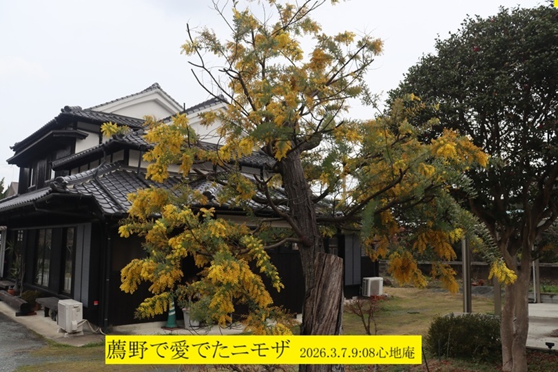 810x540 (230,223�o�C�g)