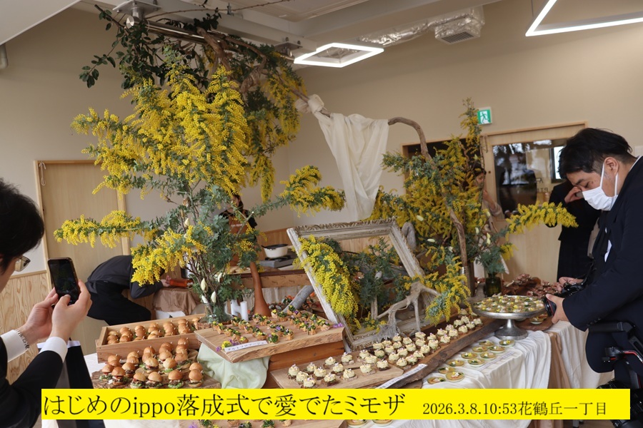 900x600 (259,419�o�C�g)