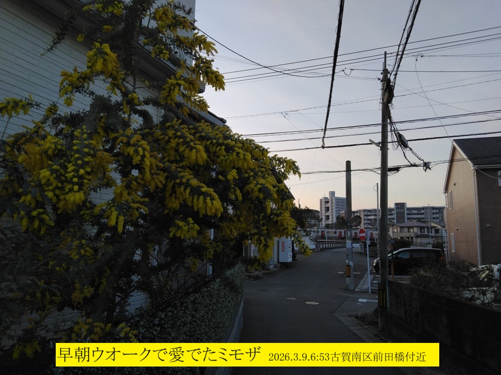 998x748 (261,535�o�C�g)