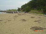 NbNI 640x480 (158,739oCg)