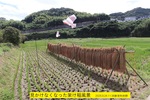 NbNI 1020x680 (383,419oCg)