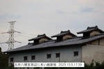 NbNI 1200x800 (219,833oCg)